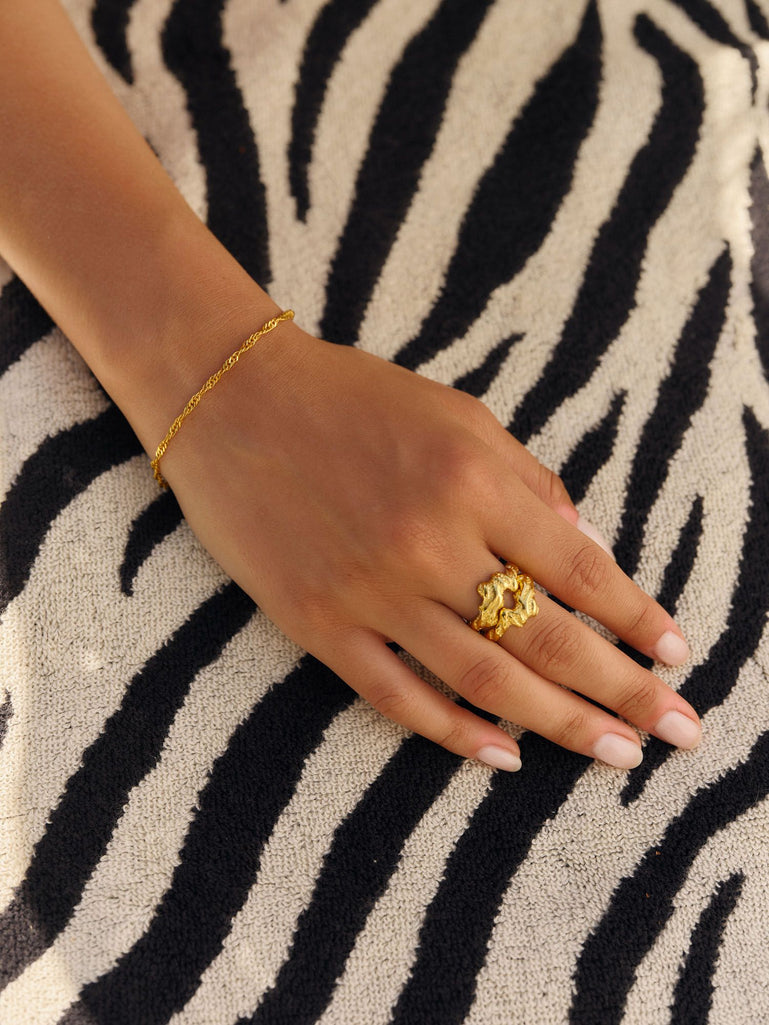 Zebra Collection