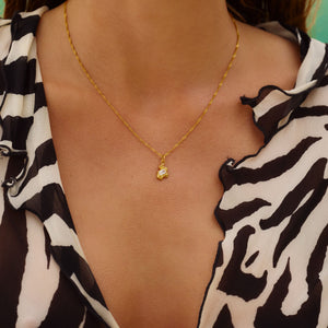 Flare Zebra Necklace