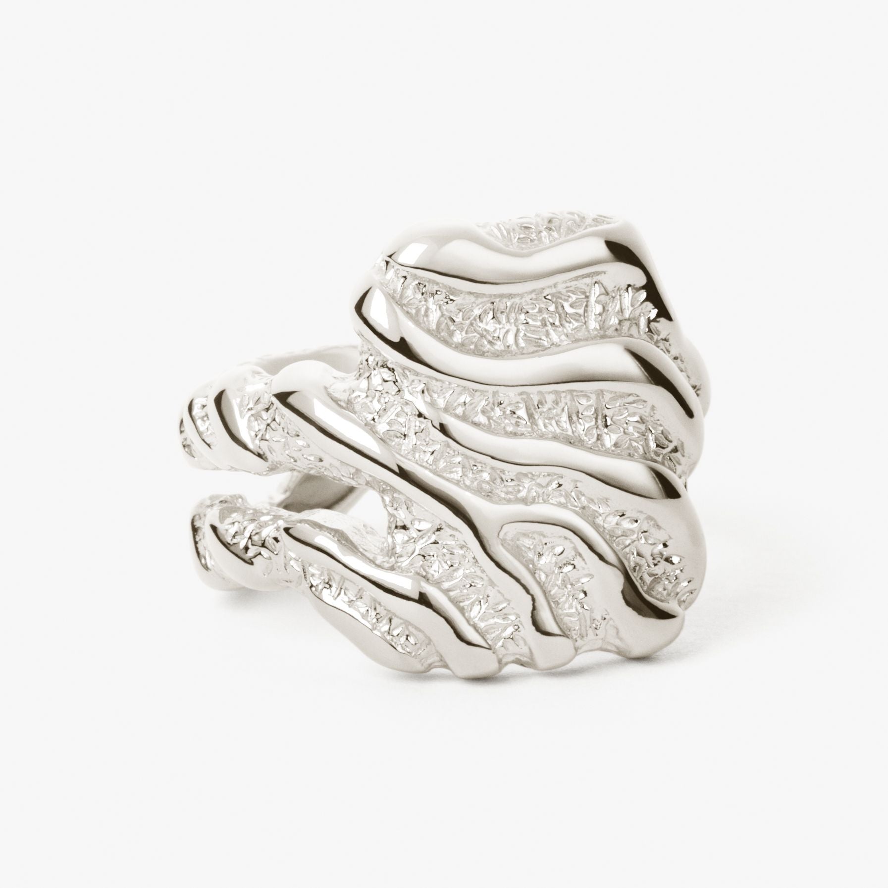 Large Zebra Ring