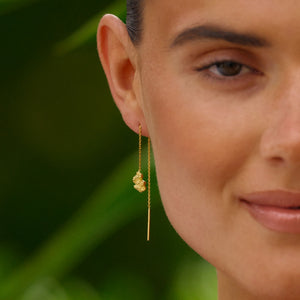 Small Sway Zebra Earlines