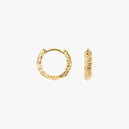Small Sparkly Hoops