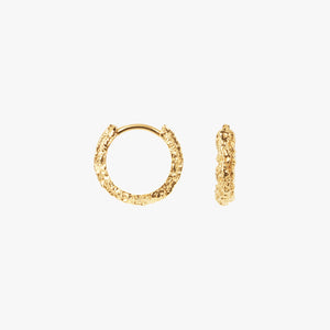 Small Sparkly Hoops