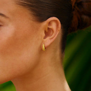 Small Zebra Hoops