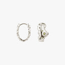 Small Sparkly Earrings