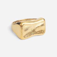 Liten Rebel Signet Ring