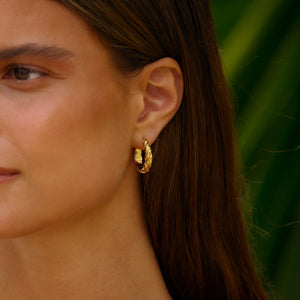 Large Zebra Hoops