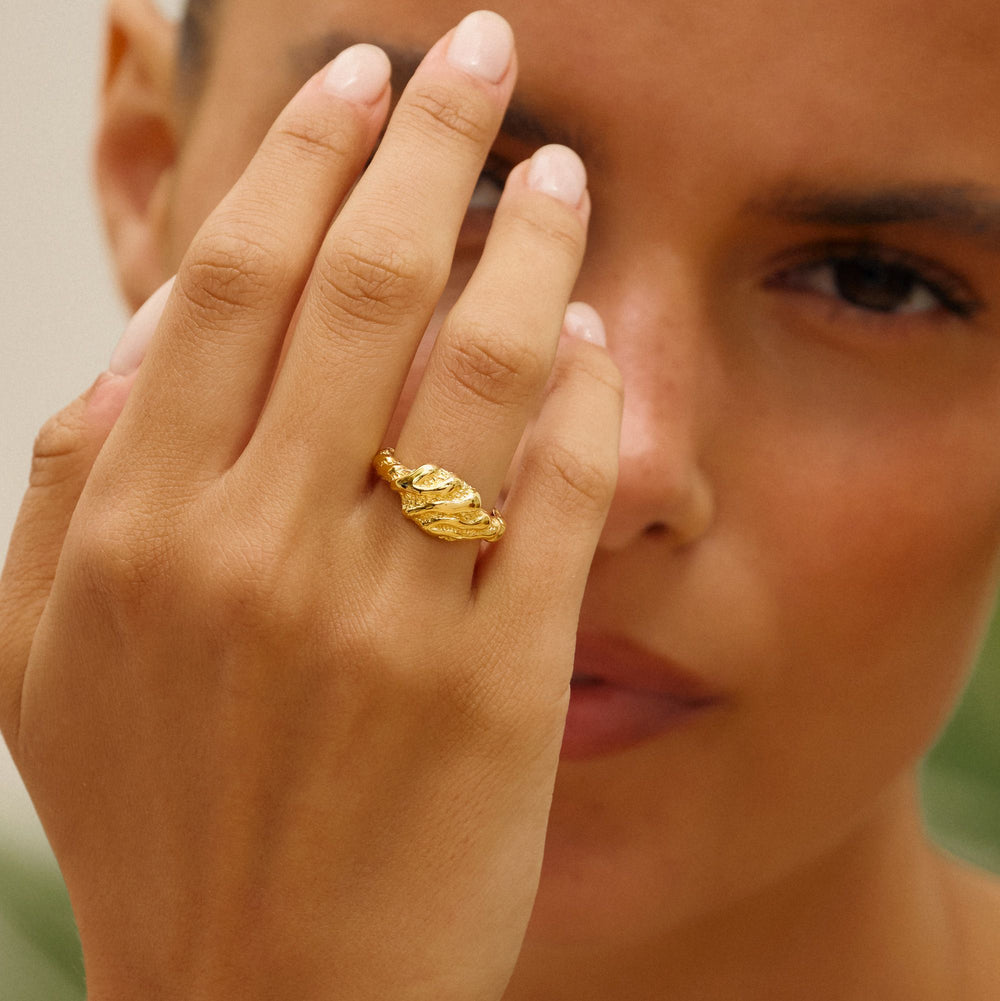 Small Zebra Ring