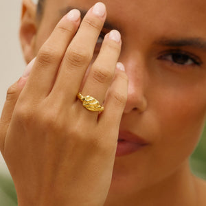 Small Zebra Ring