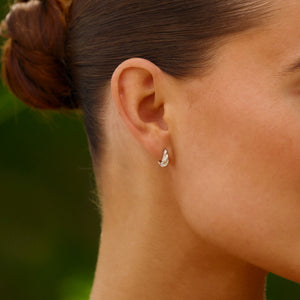 Hugged Zebra Stud Earrings