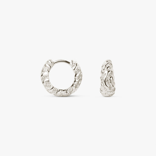 Small Zebra Hoops