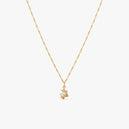 Flare Zebra Necklace