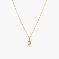 Flare Zebra Necklace