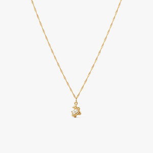 Flare Zebra Necklace