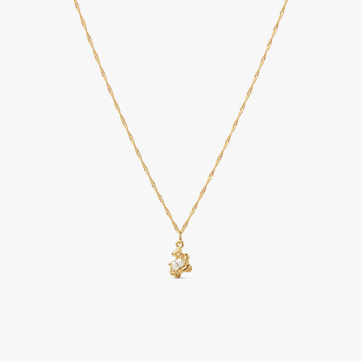 Flare Zebra Necklace