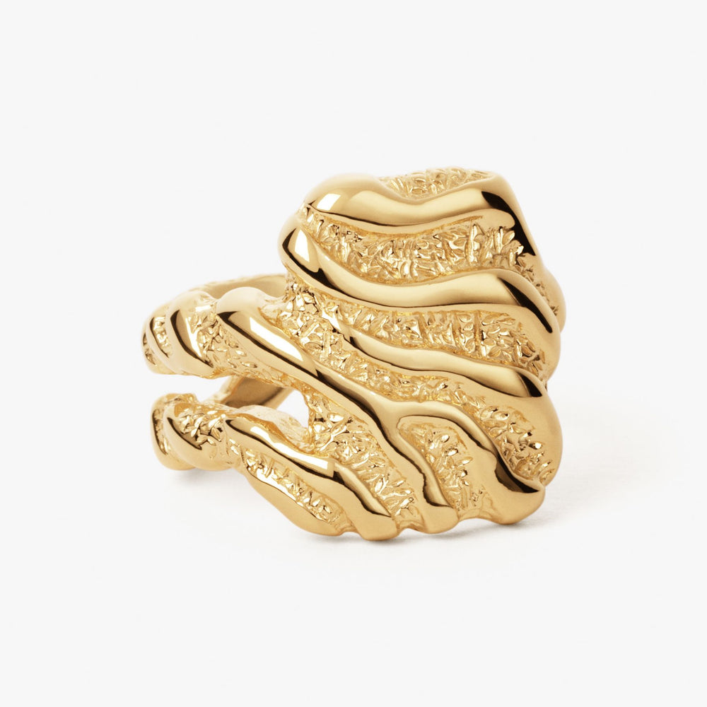 Large Zebra Ring