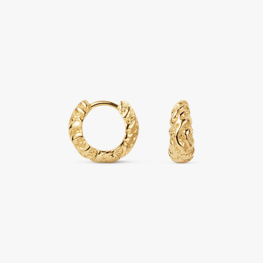 Small Zebra Hoops