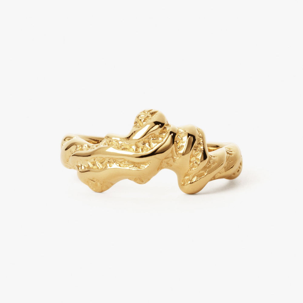 Sway Zebra Ring