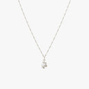 Flare Zebra Necklace