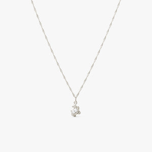 Flare Zebra Necklace