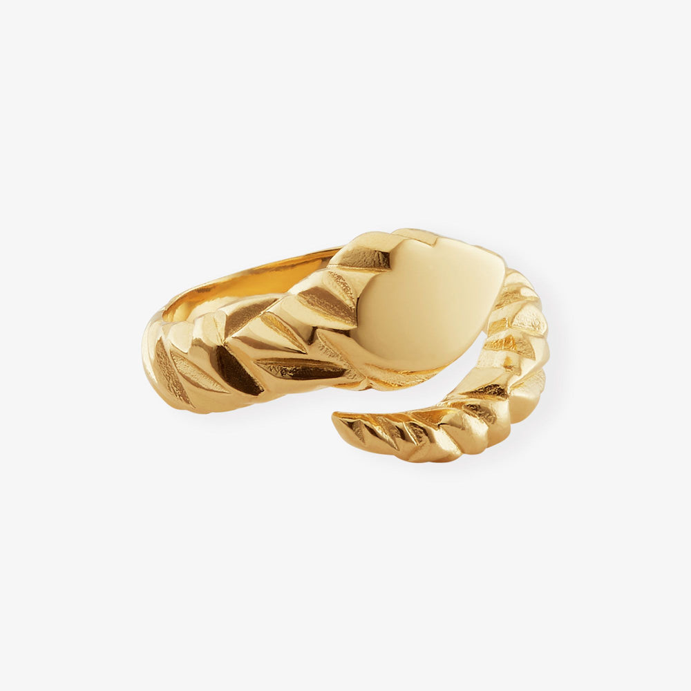 Large Twisted Silicium Ring