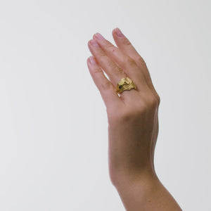 Large Blurry Layers Ring