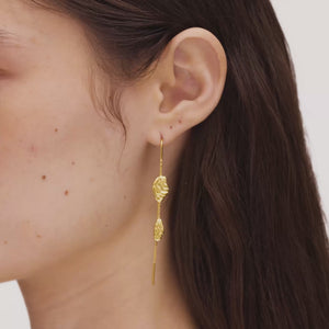 Long Liquid Flow Earlines