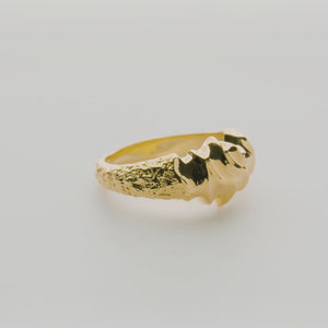 Large Phoenix Flames Ring