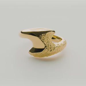 Flashing Flames Ring